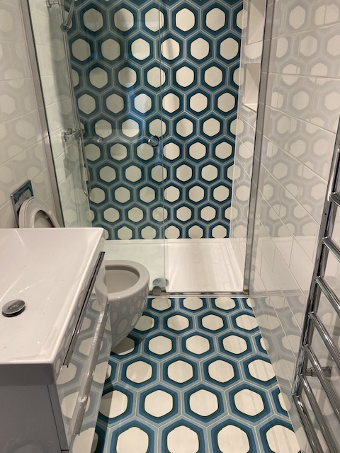 Hexagon blue and white Cement encaustic tiles in a shower and bathroom area